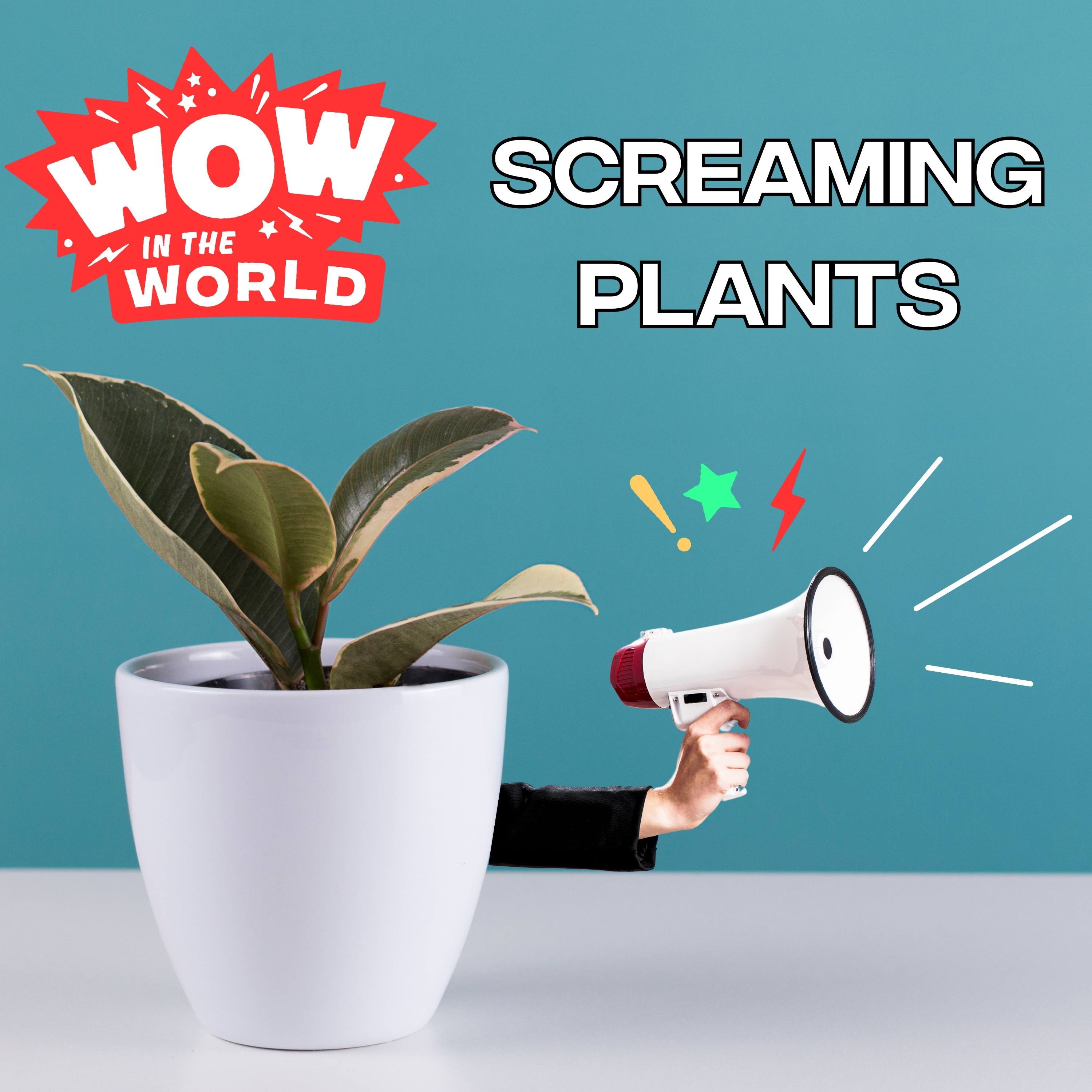 Screaming Plants (5/22/23)