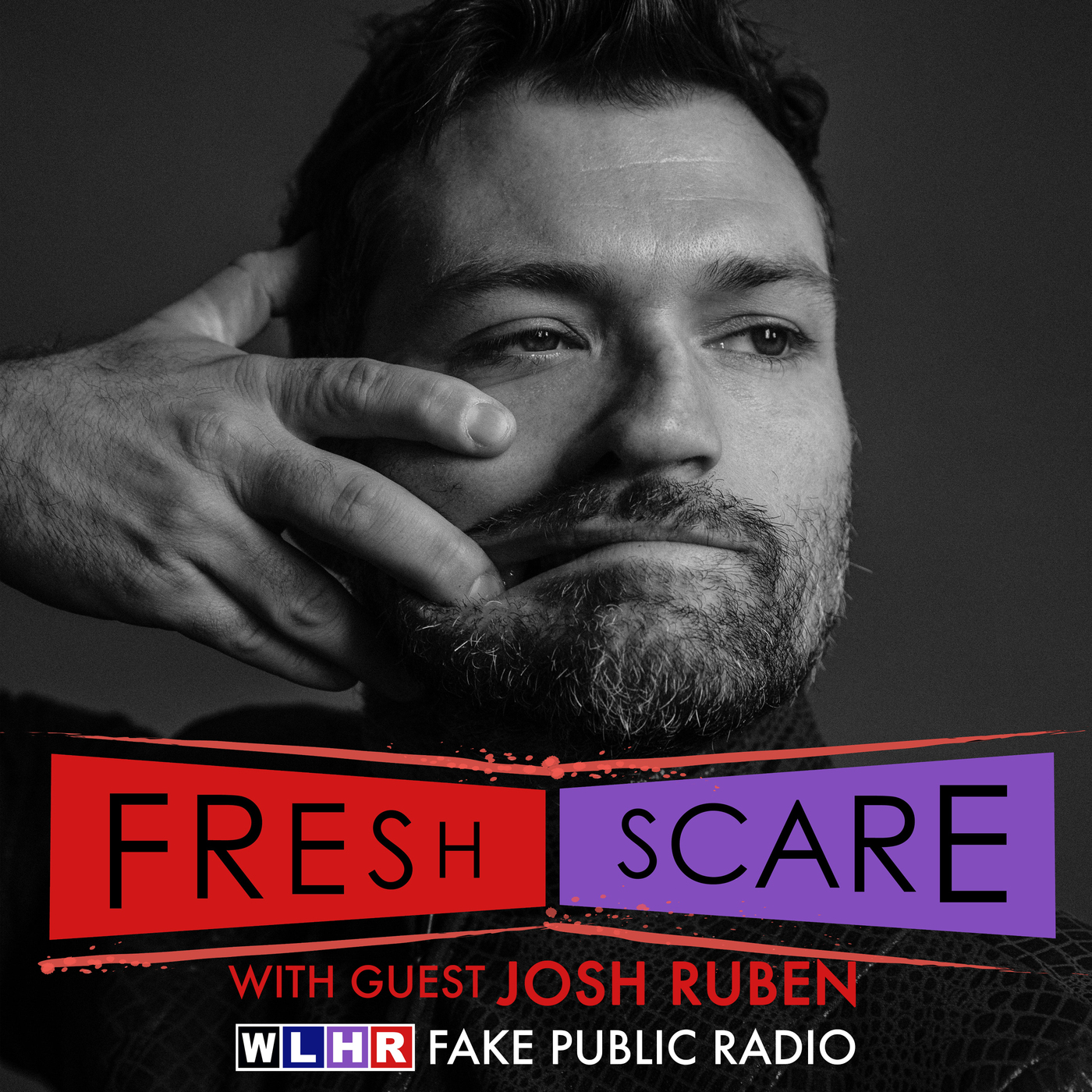 WLHR: Fake Public Radio