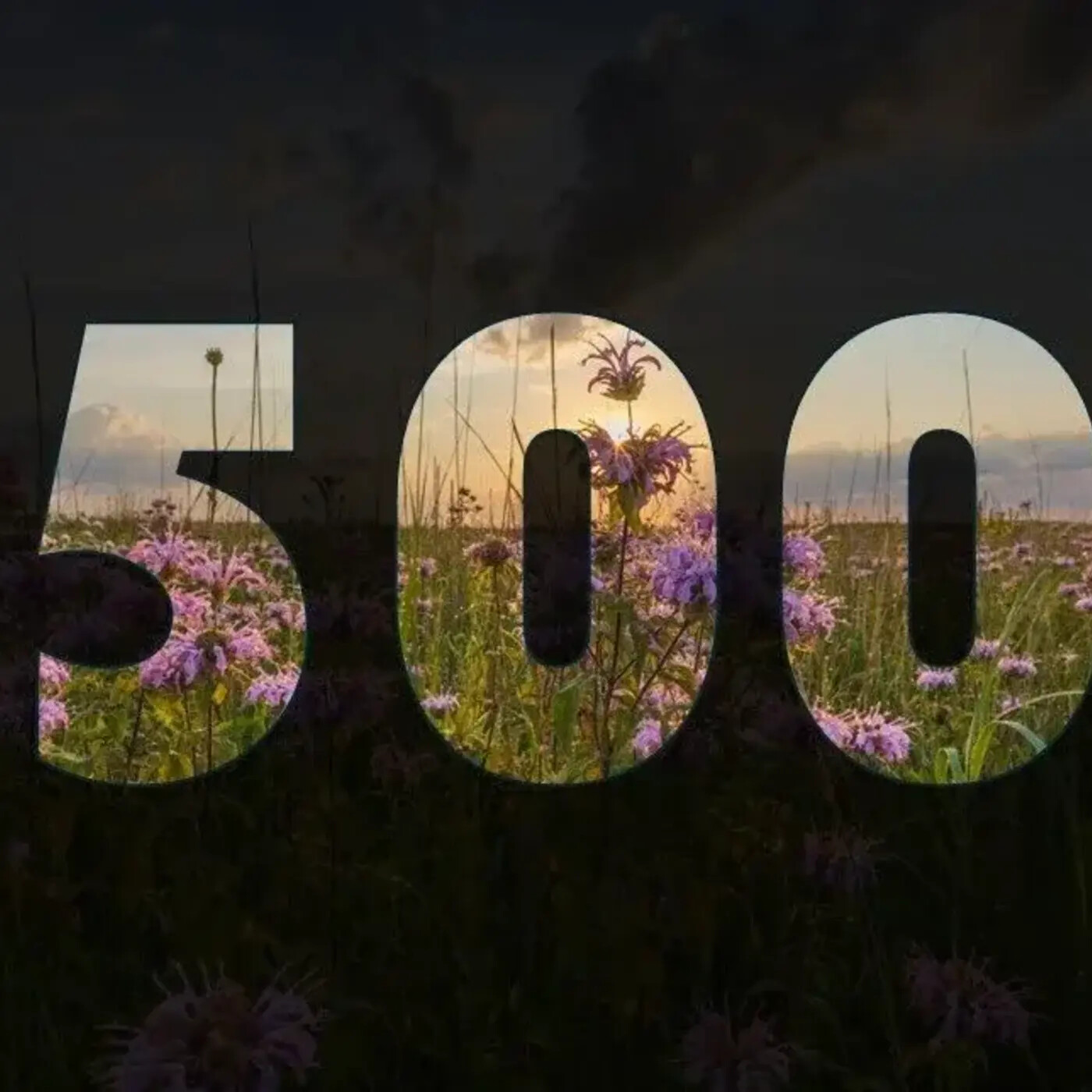 In Defense of Plants Podcast