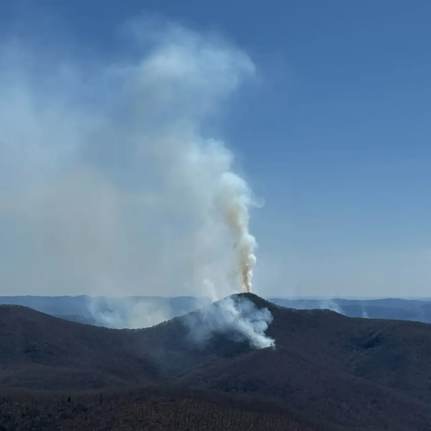 In Defense of Plants Podcast