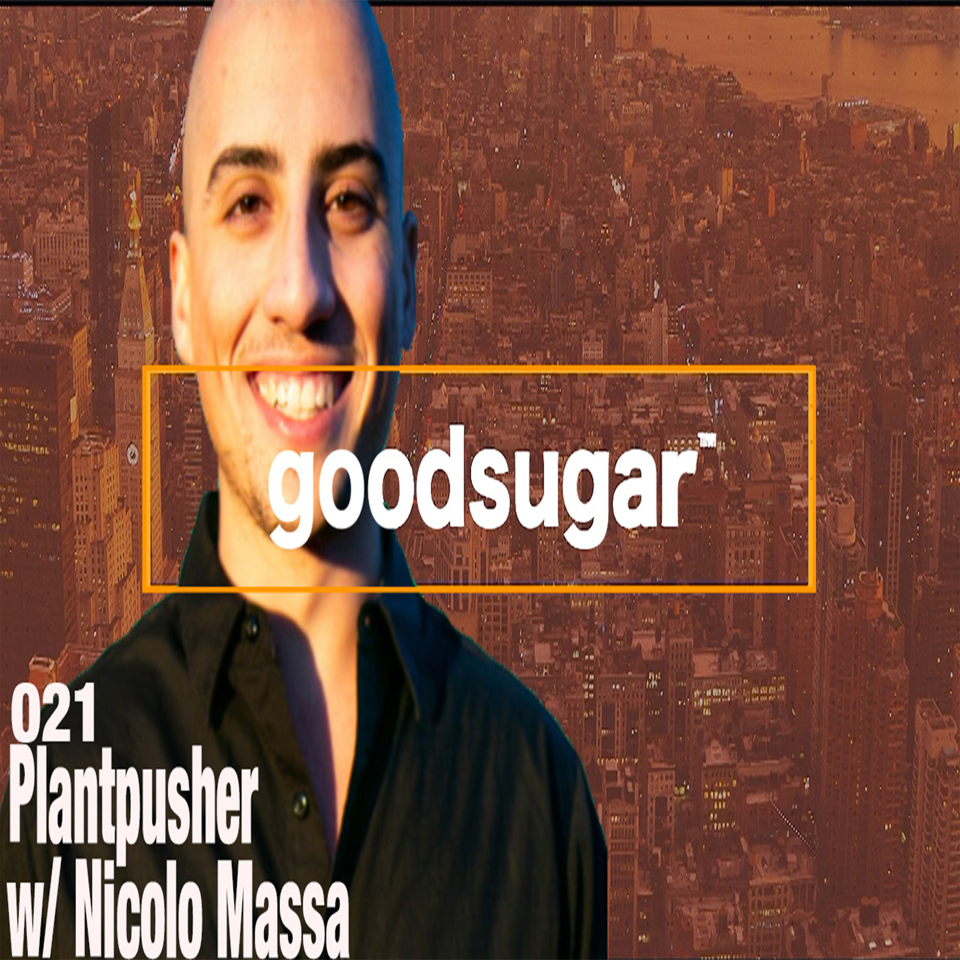 Plantpusher w/ Nicolo Massa -  goodsugar #21 episode artwork