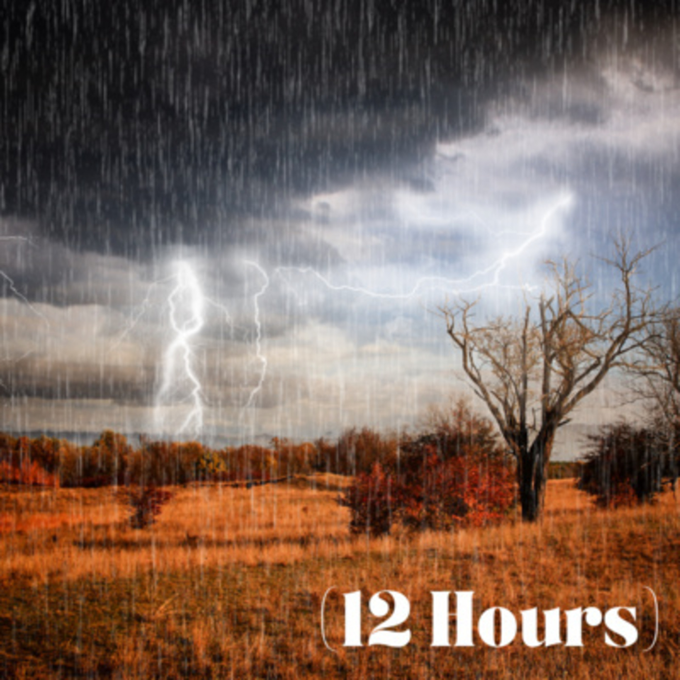 Rain & Thunder | Sleep Sound (12 Hours)