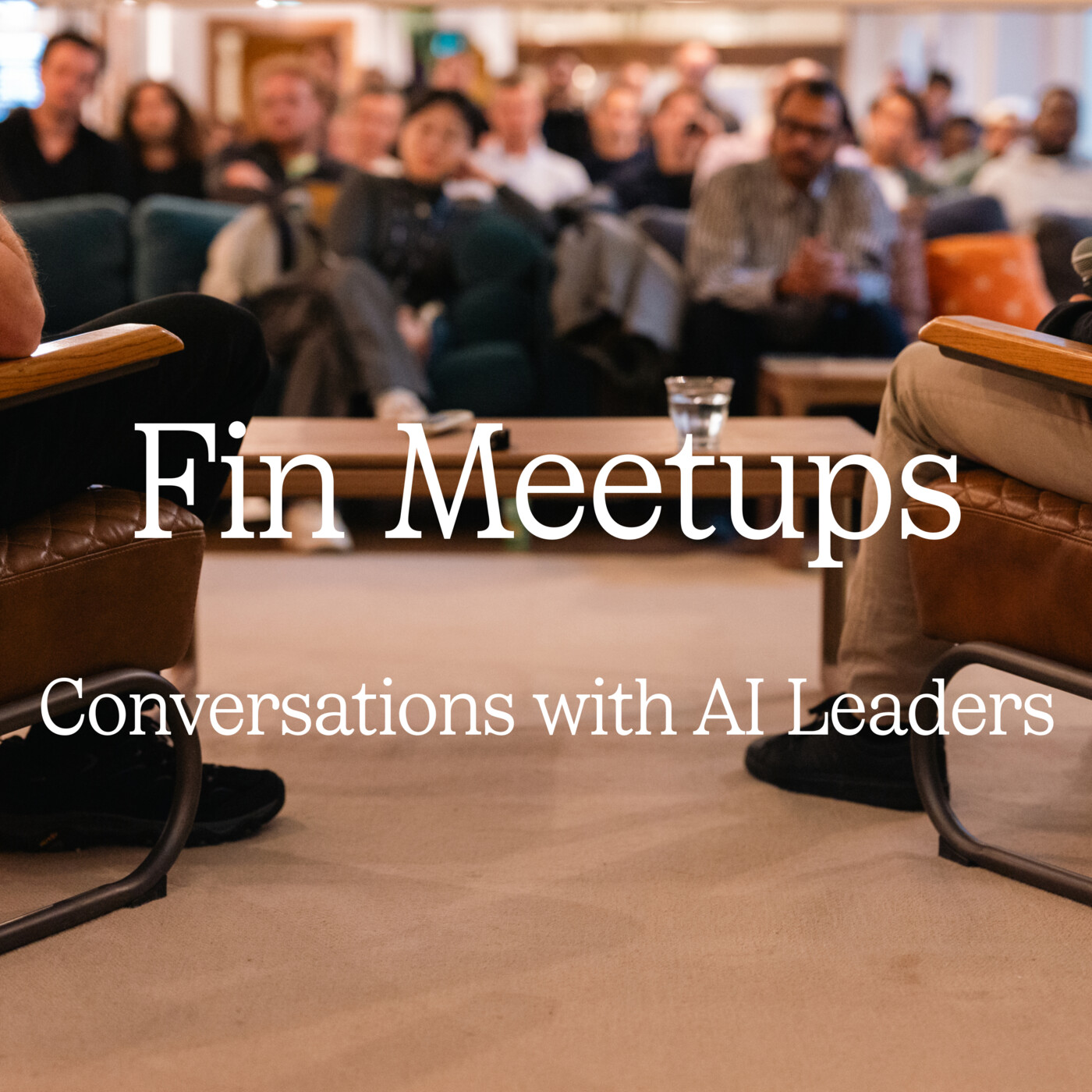 Fin Meetups: Conversations with AI Leaders