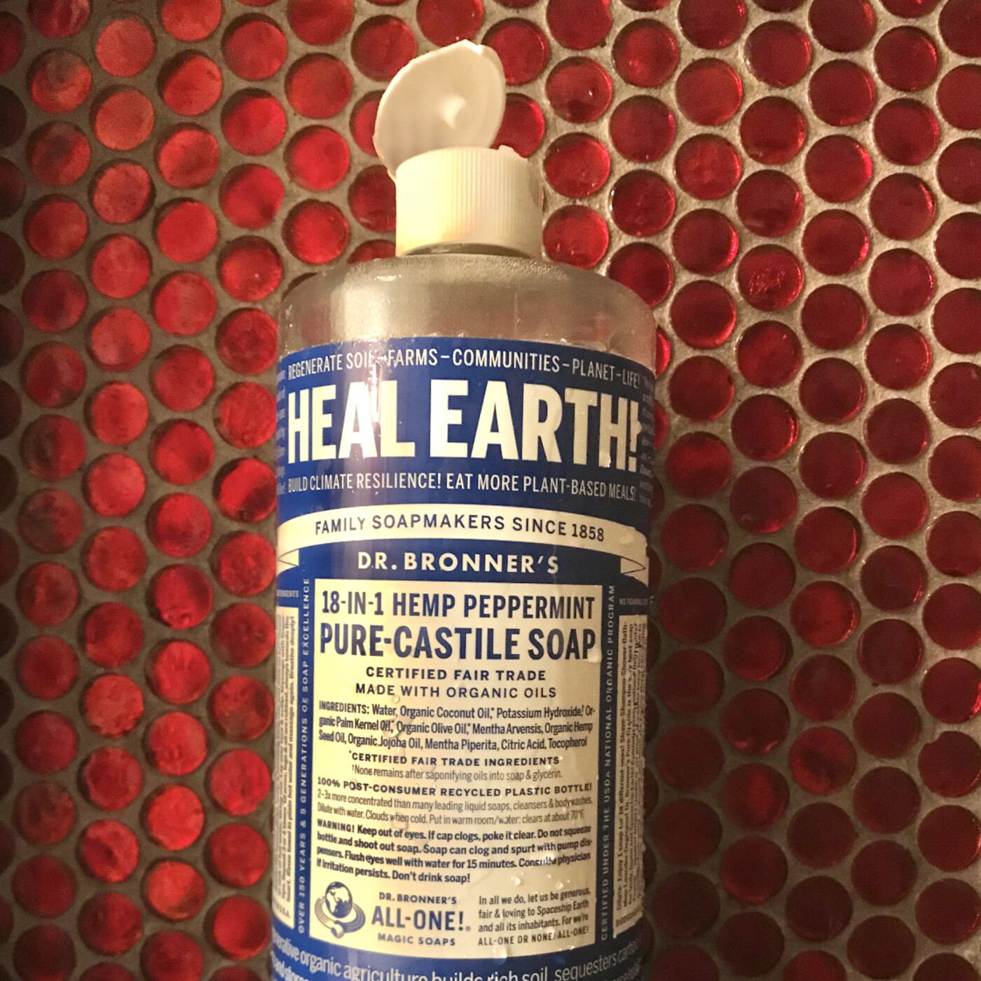 Episode 87: Dr. Bronner’s Ethical Supply Chain episode artwork