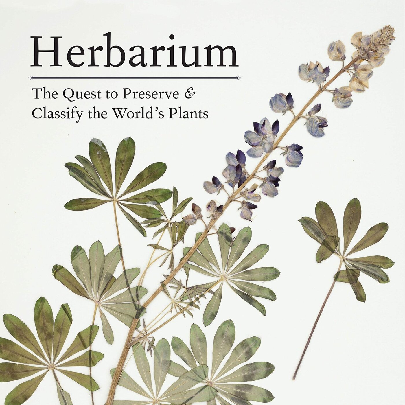 In Defense of Plants Podcast