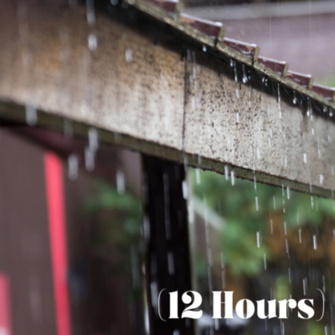 Rain on Metal Tin Roof | Sleep Sound (12 Hours)