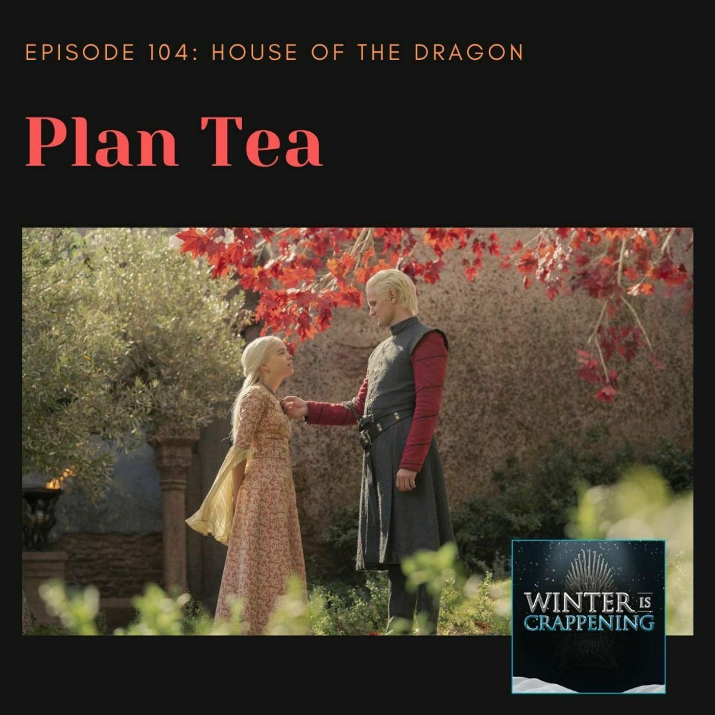 HOTD #104: Plan Tea