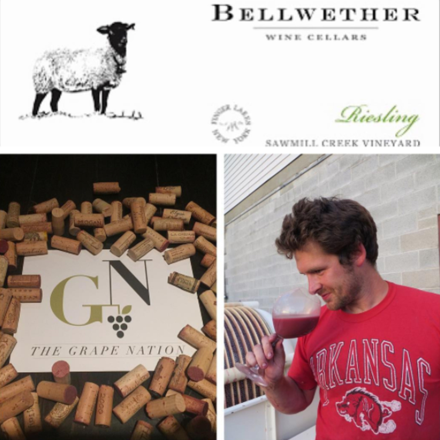 Episode 22: Kris Mattewson, Winemaker & Proprietor of Bellwether Wine Cellars talks about wine in the Finger Lakes Region of New York