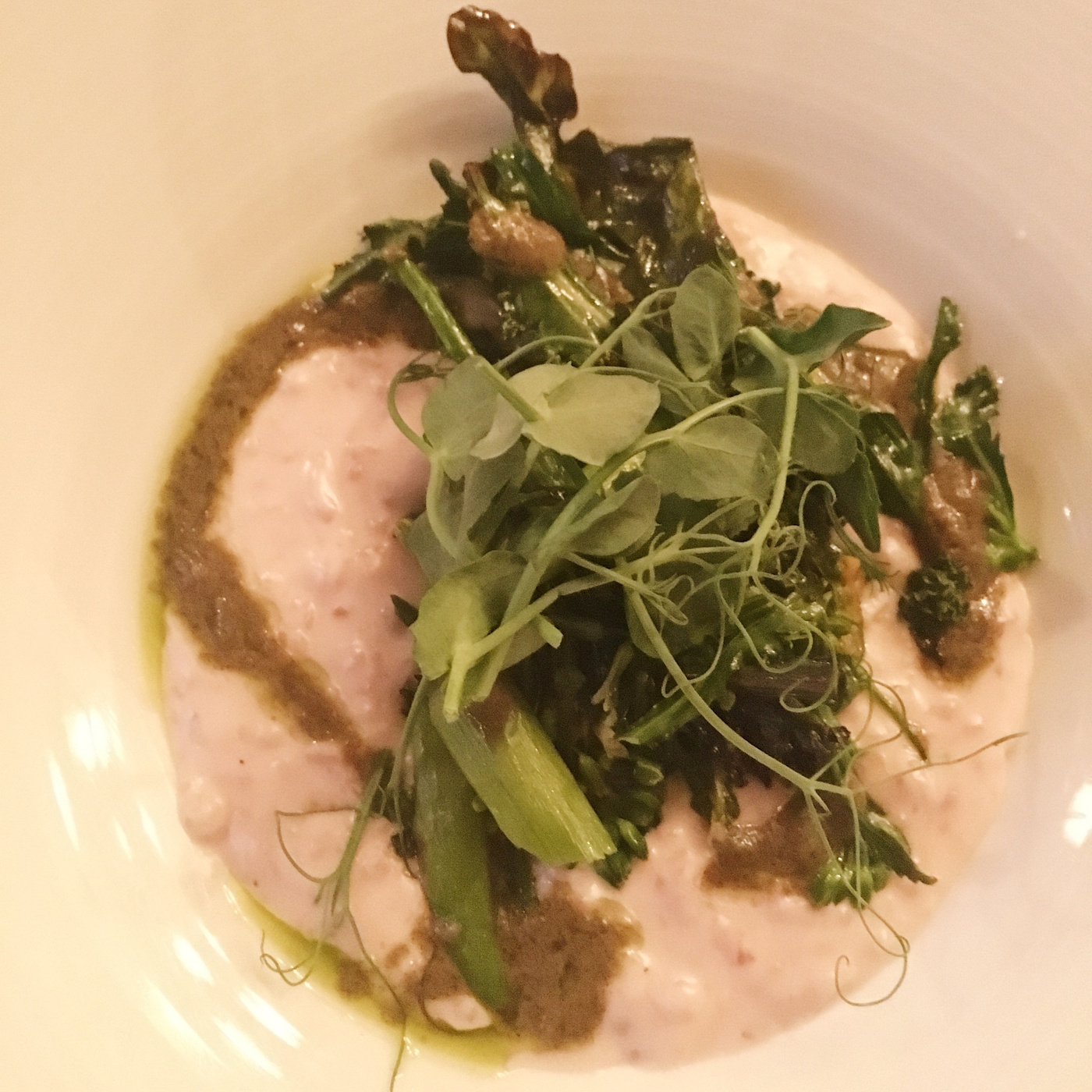 Knockout of Knoxville at the James Beard House