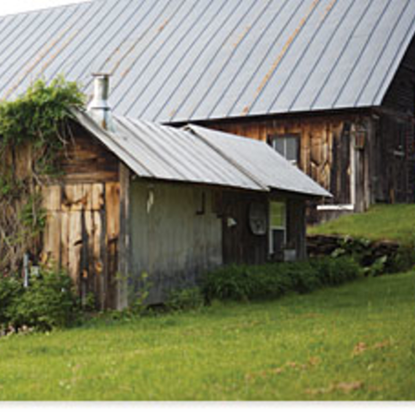Episode 16: Allison Hooper of Vermont Creamery at the Good Food Awards