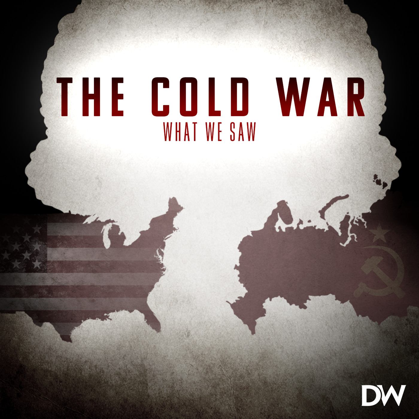 The Cold War: What We Saw