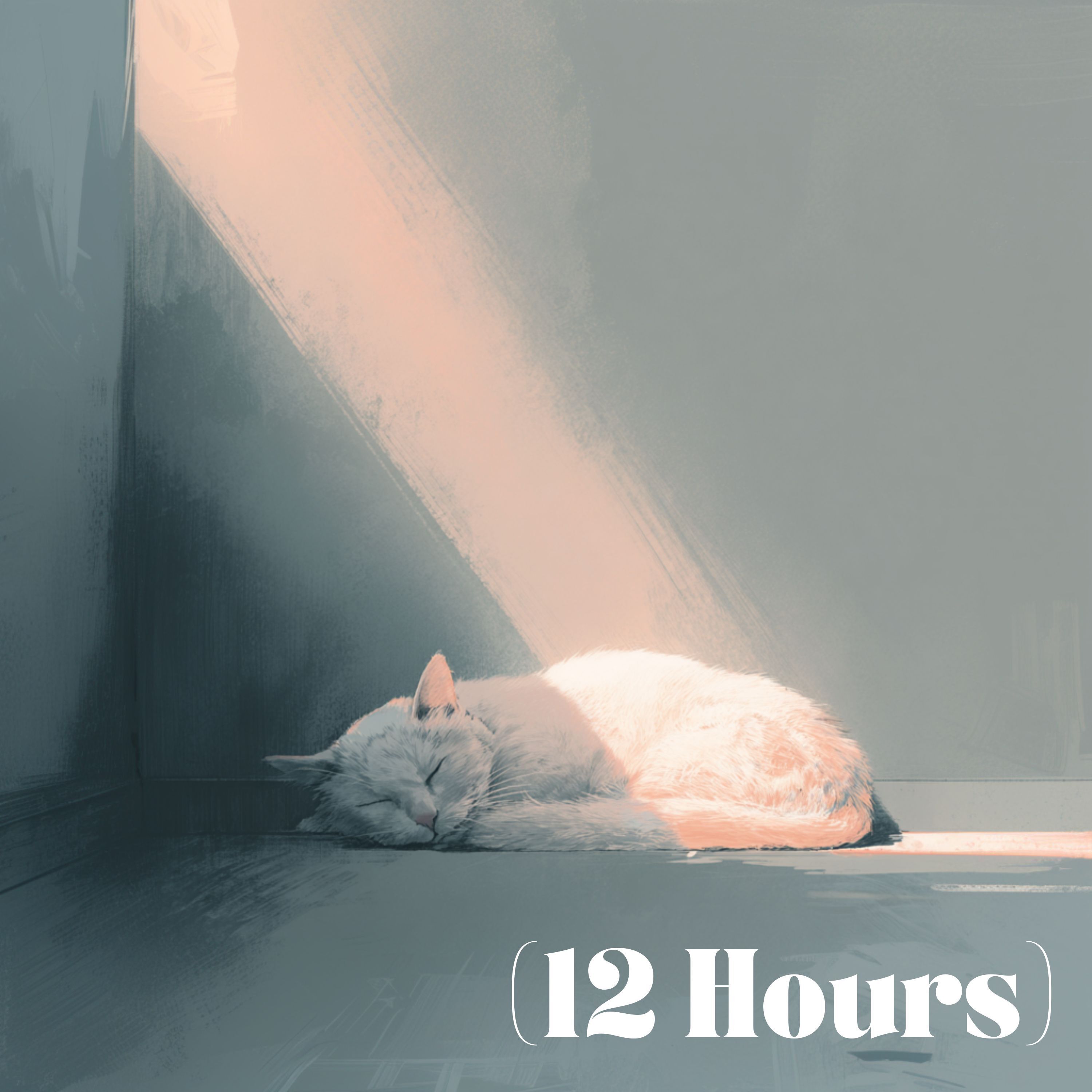 Cat Purring | Sleep Sound (12 Hours)