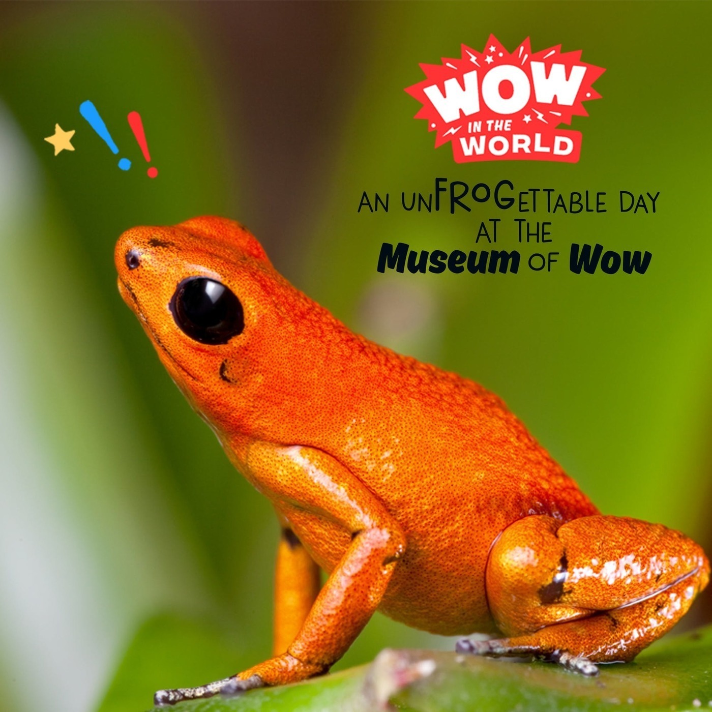 An UnFROGettable Day At the Museum of Wow!
