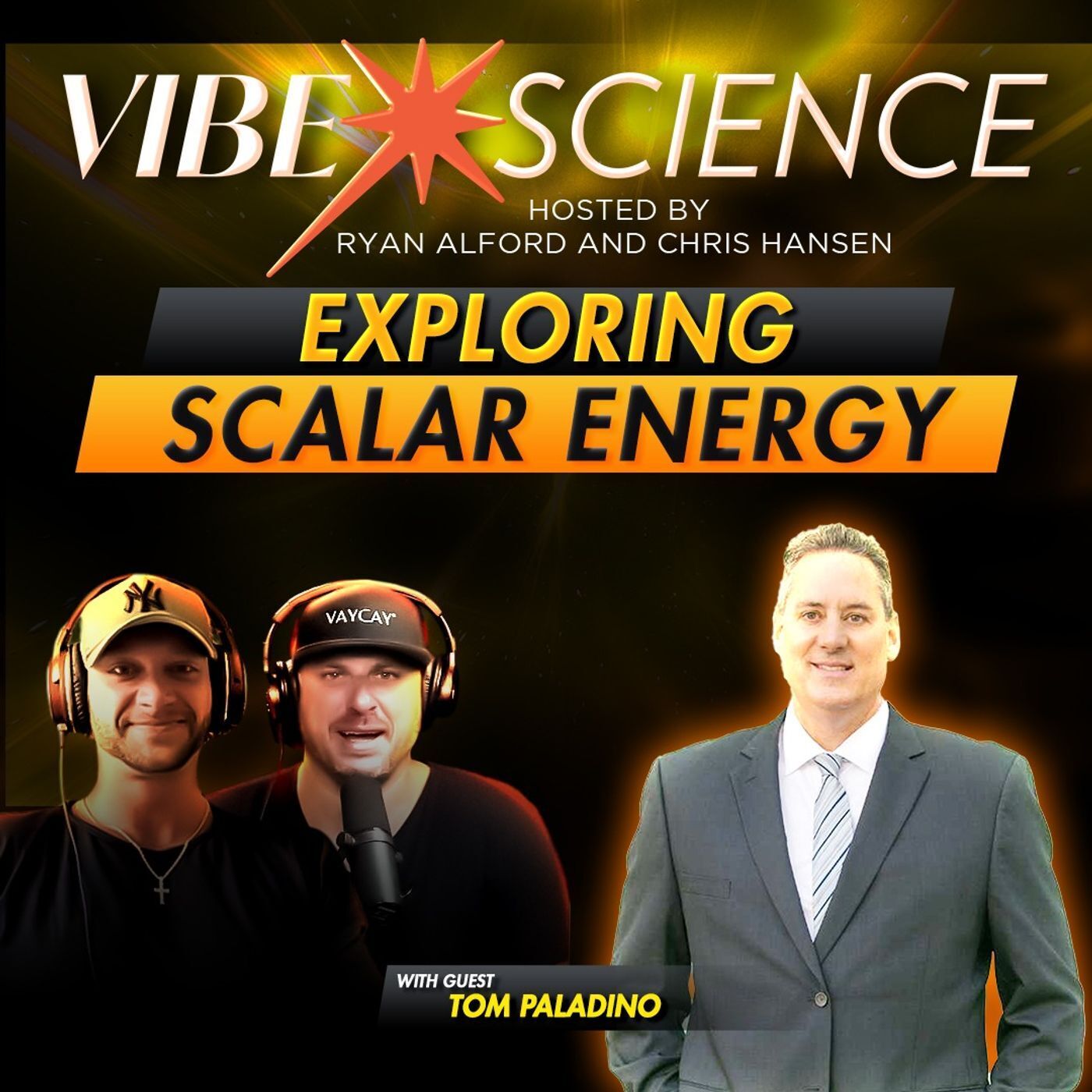 THE VIBE SCIENCE PODCAST