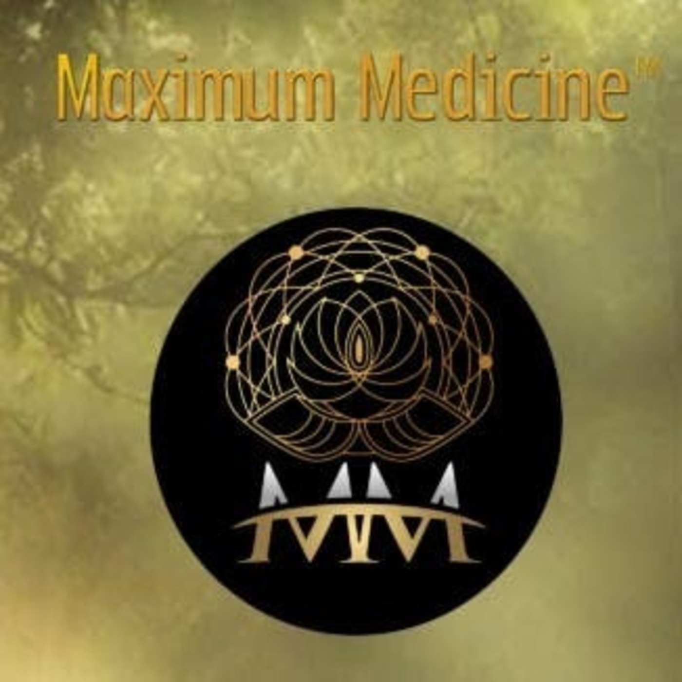 Maximum Medicine Radio with Dr. Sharon Martin - Gaia and Our Interconnectedness episode artwork