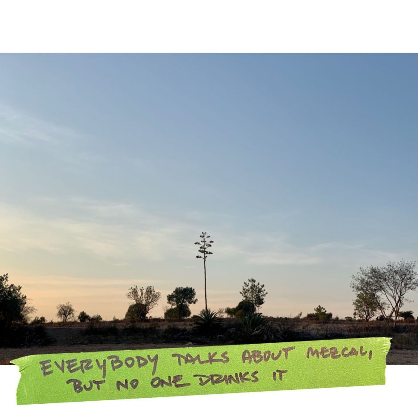 Everyone Talks about Mezcal, but No One Drinks It