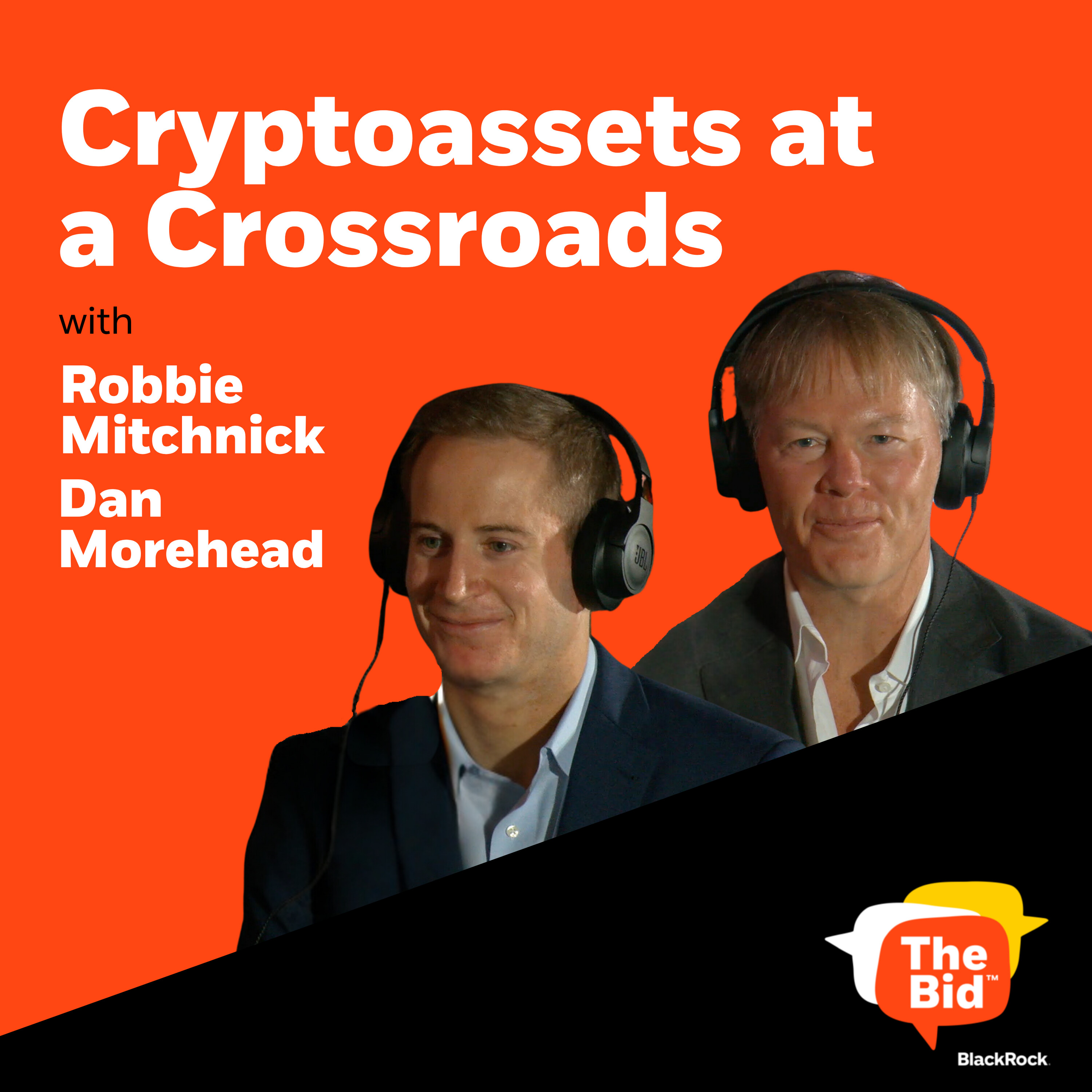 259: Cryptoassets At A Crossroads: Volatility, Adoption, and Changing Investor Perspectives episode artwork