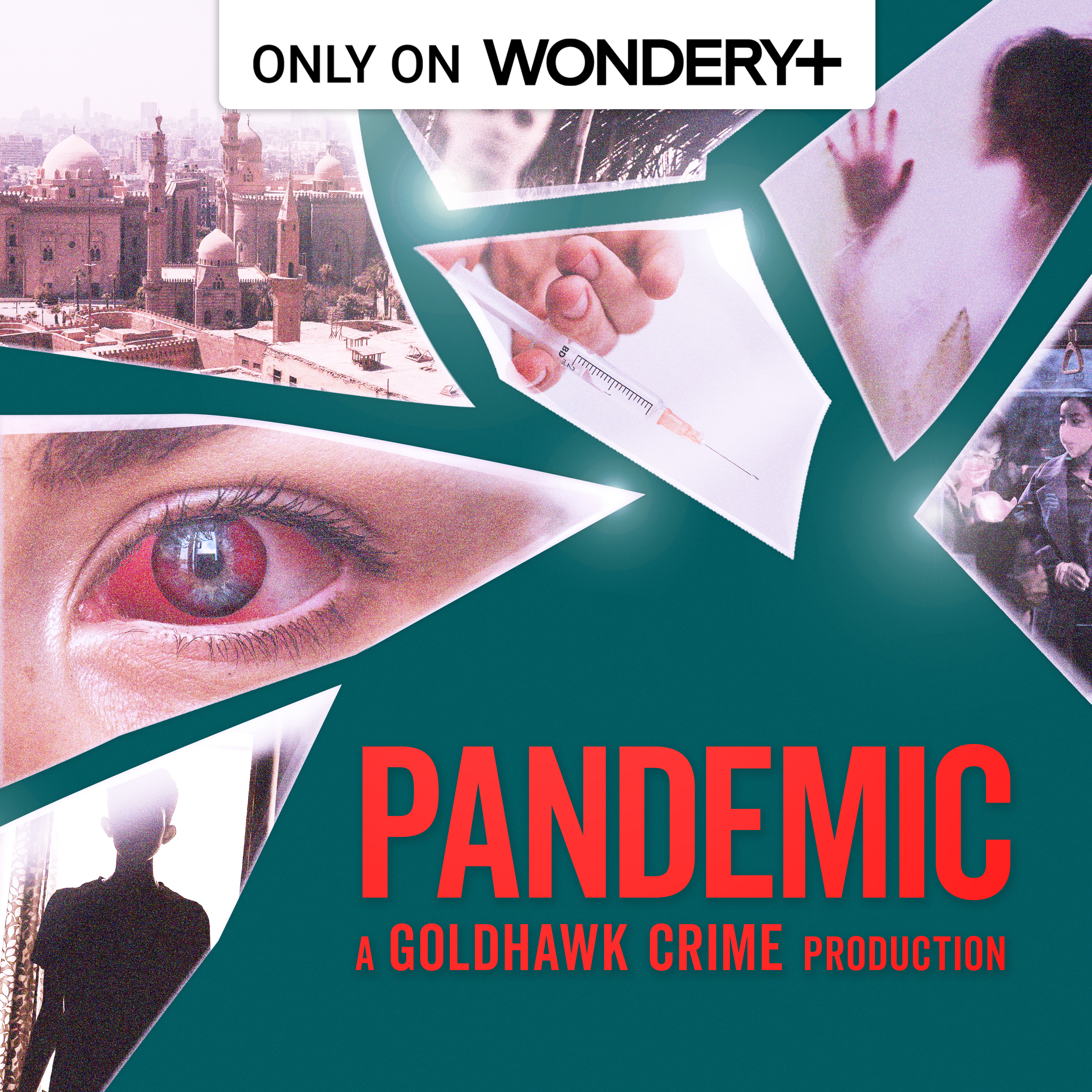 Logo of the podcast Pandemic