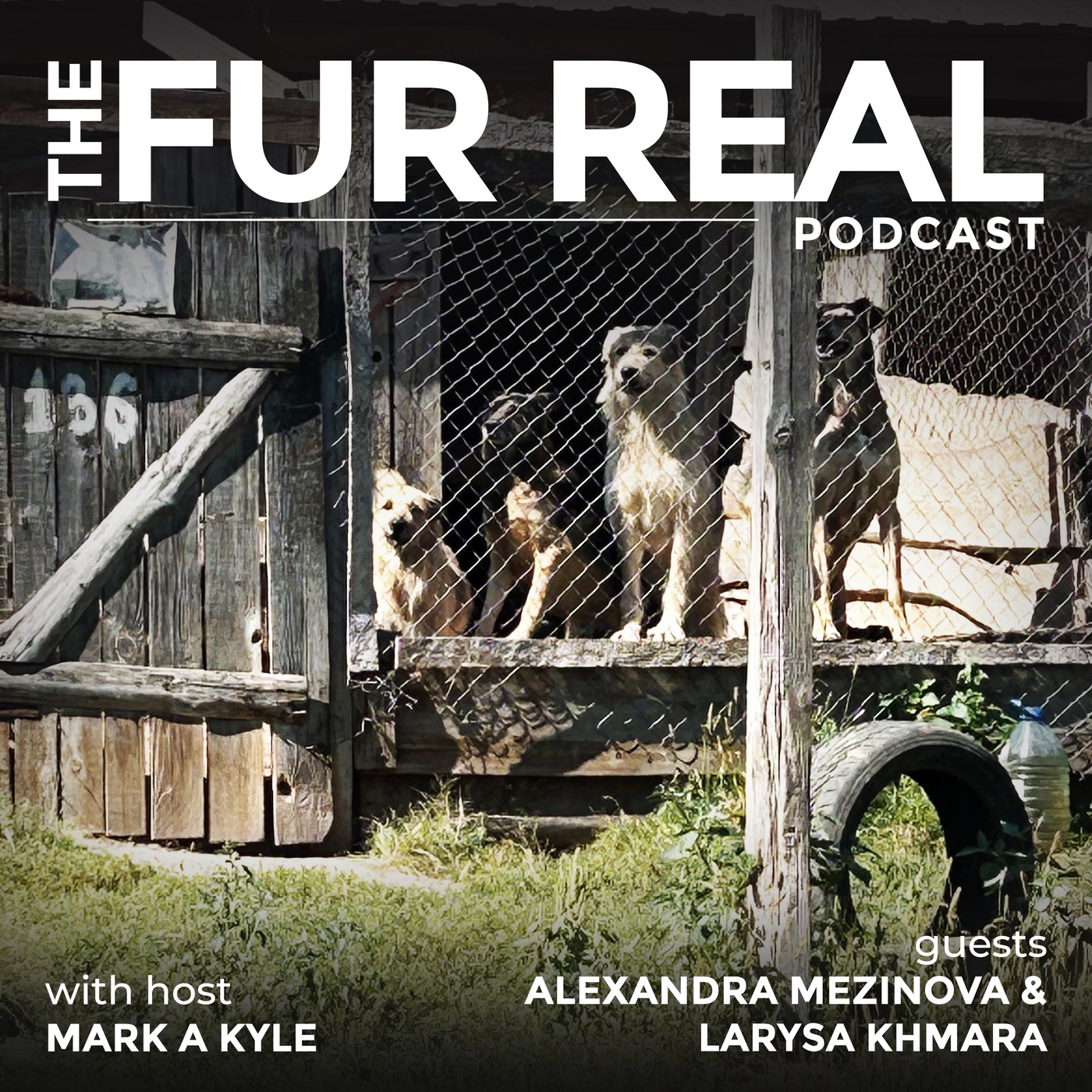 "UKRAINE'S ANIMAL SHELTER SIRIUS" saving animals from war