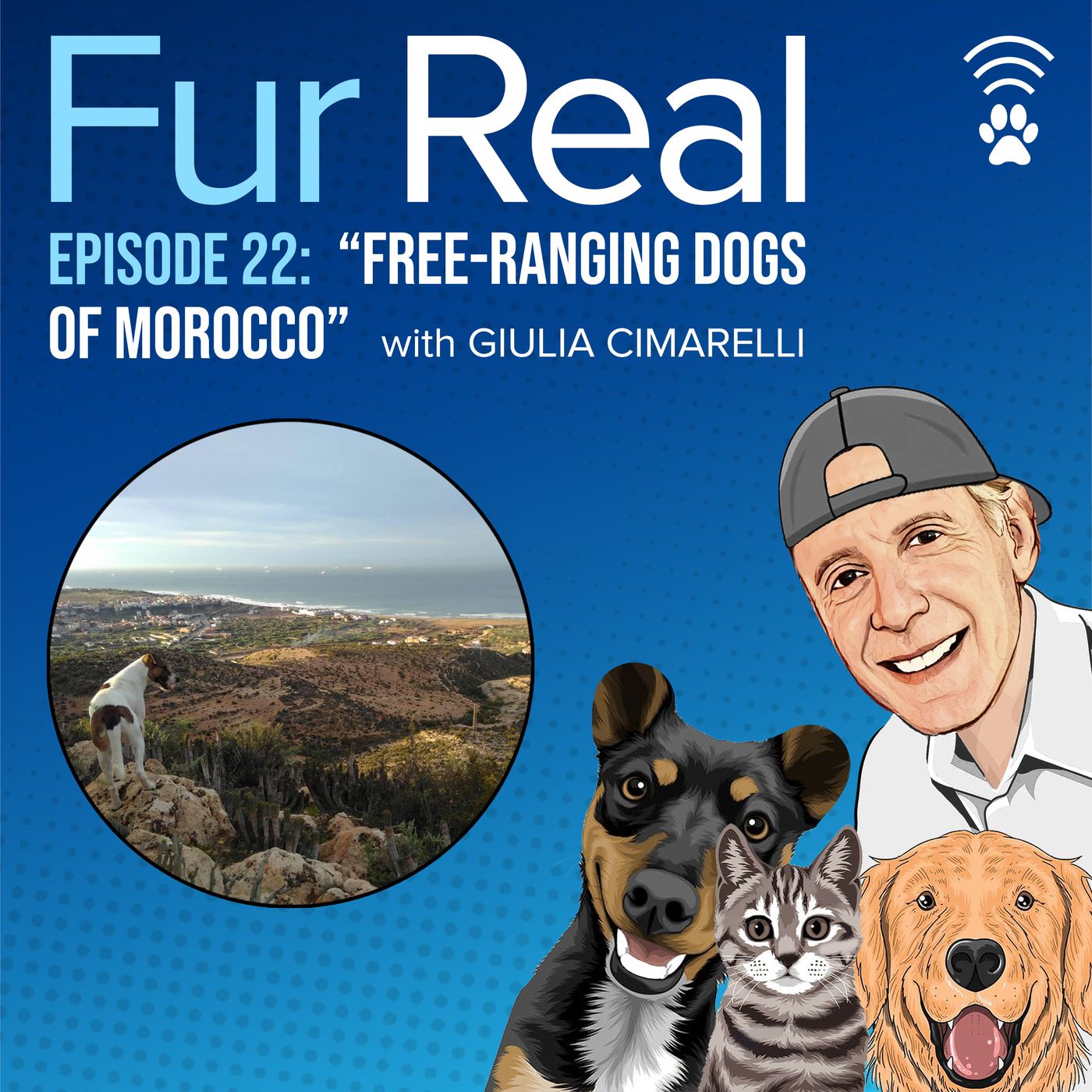 "FREE-RANGING DOGS OF MOROCCO" with Giulia Cimarelli