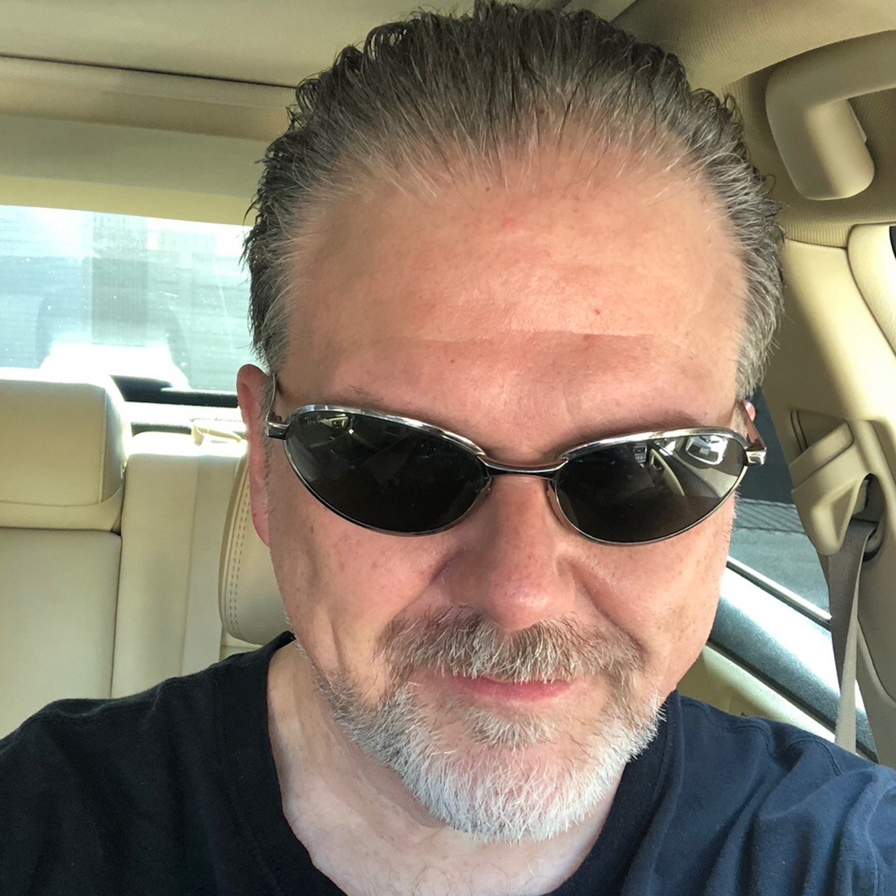 Episode Twenty, Year Fourteen artwork