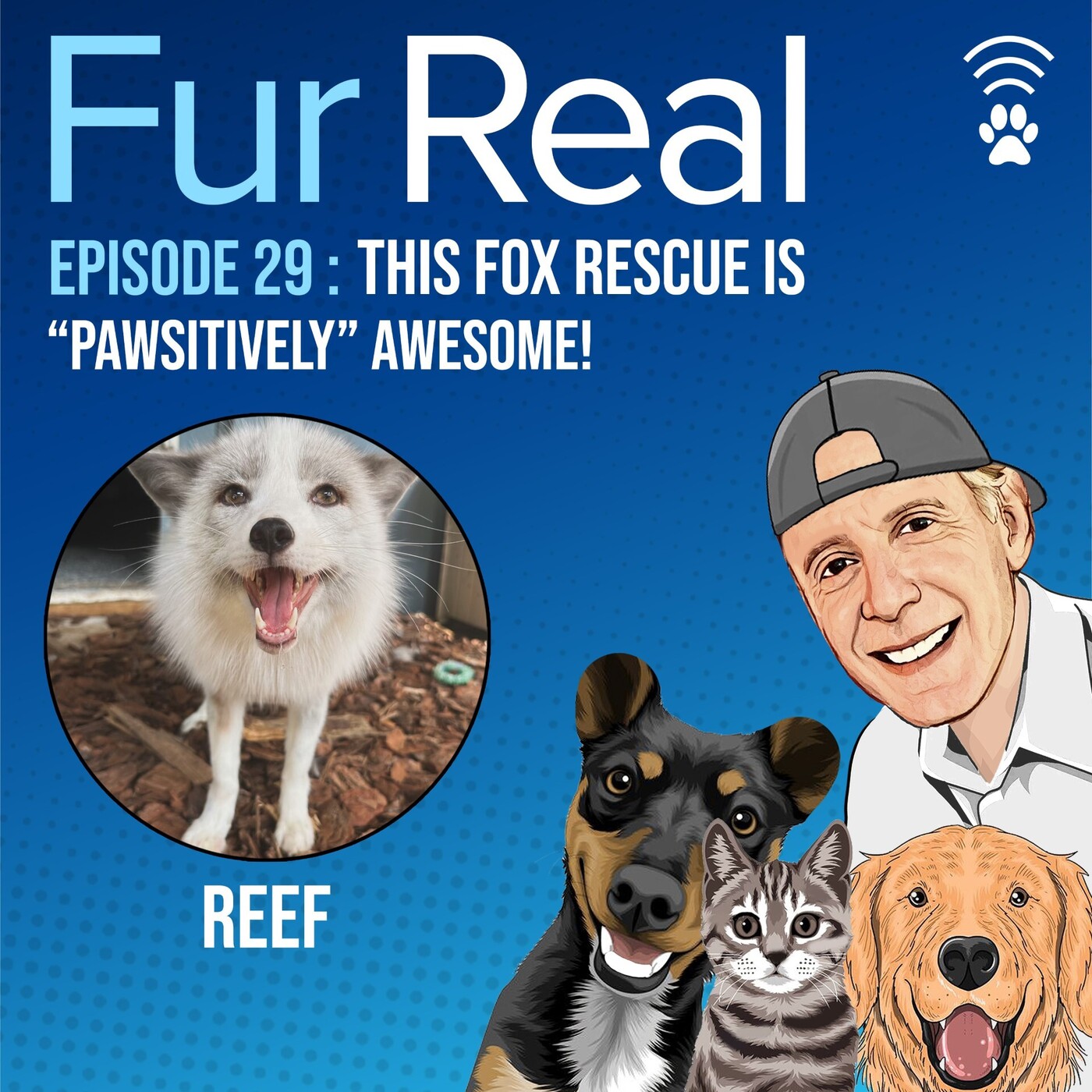 THIS FOX RESCUE is "PAWSITVELY" AWESOME!