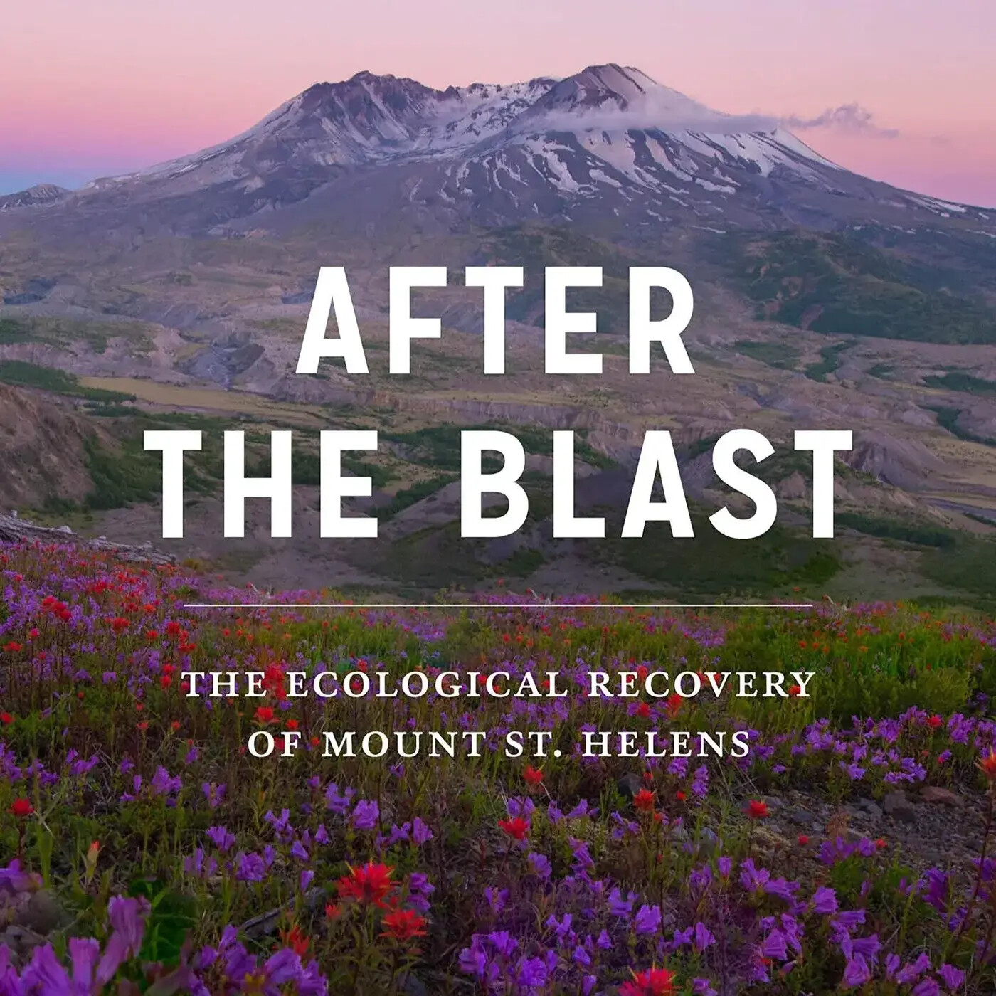 Ep. 266 - After the Blast: The Ecological Recovery of Mount St. Helens