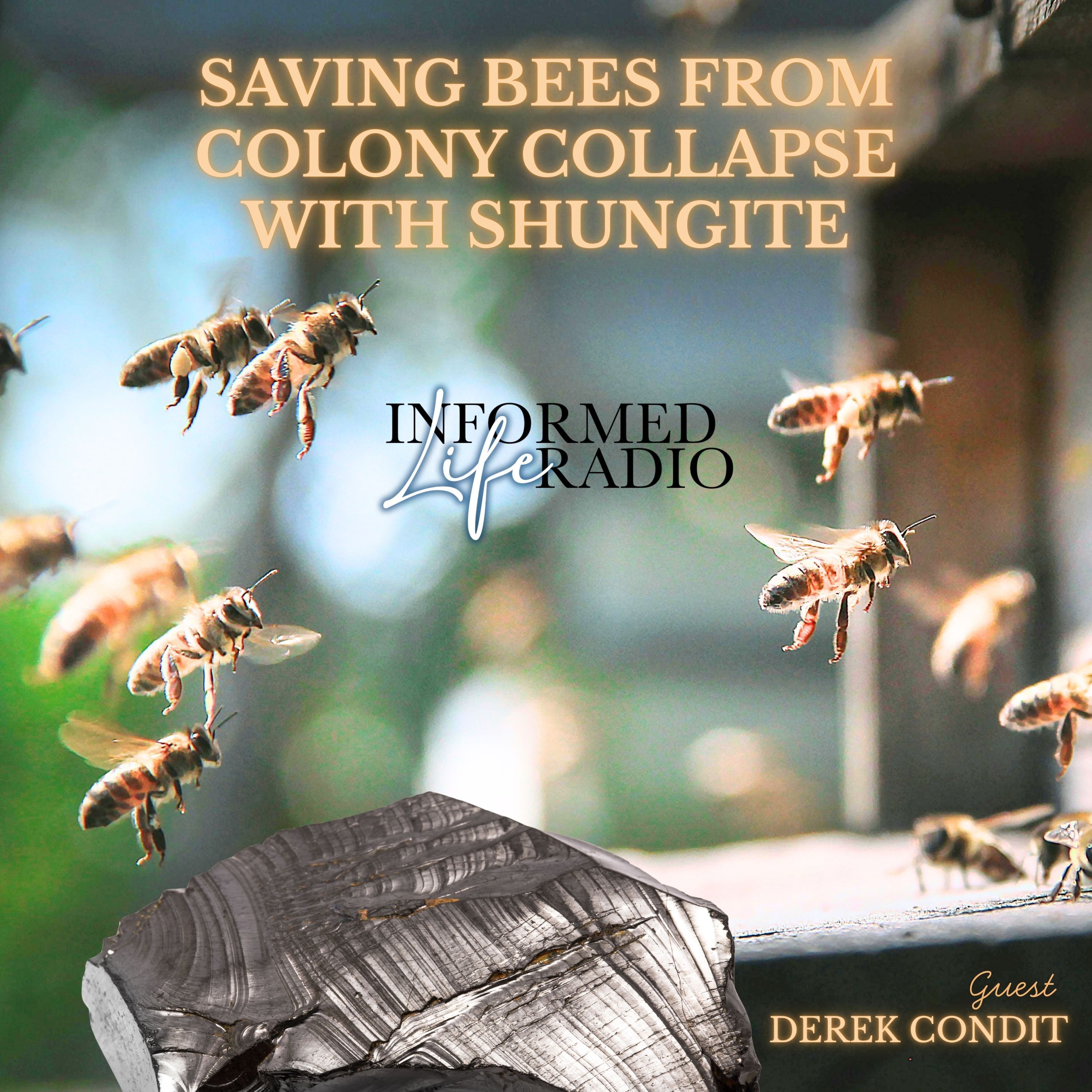 Saving Bees from Colony Collapse—With Shungite episode artwork