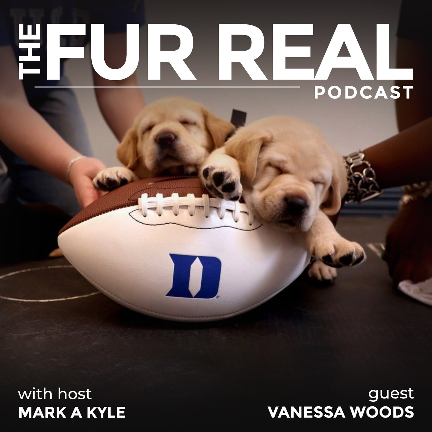 "THE PUPPY KINDERGARTEN.....GENIUS" with Vanessa Woods "THE PUPPY KINDERGARTEN.....GENIUS" with Vanessa Woods