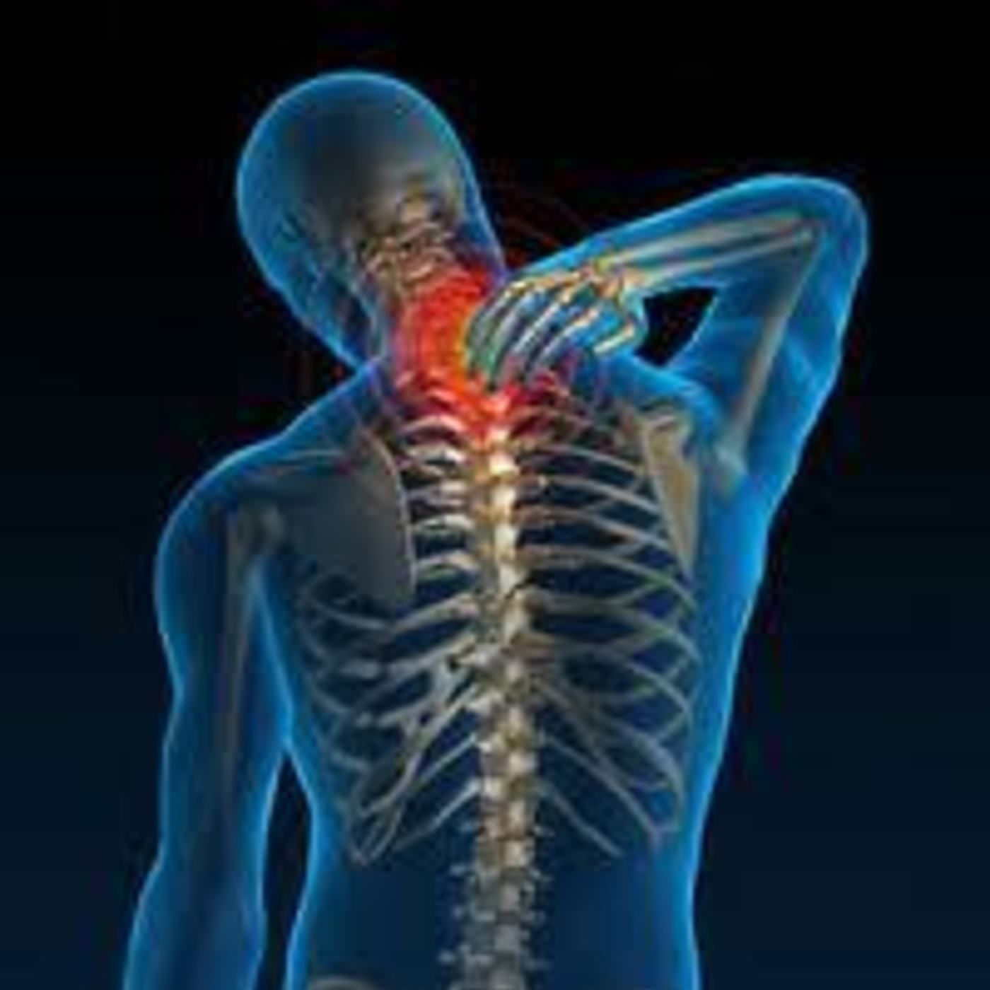 Dan Yachter & Deed Harrison - Your place or spine?: #302