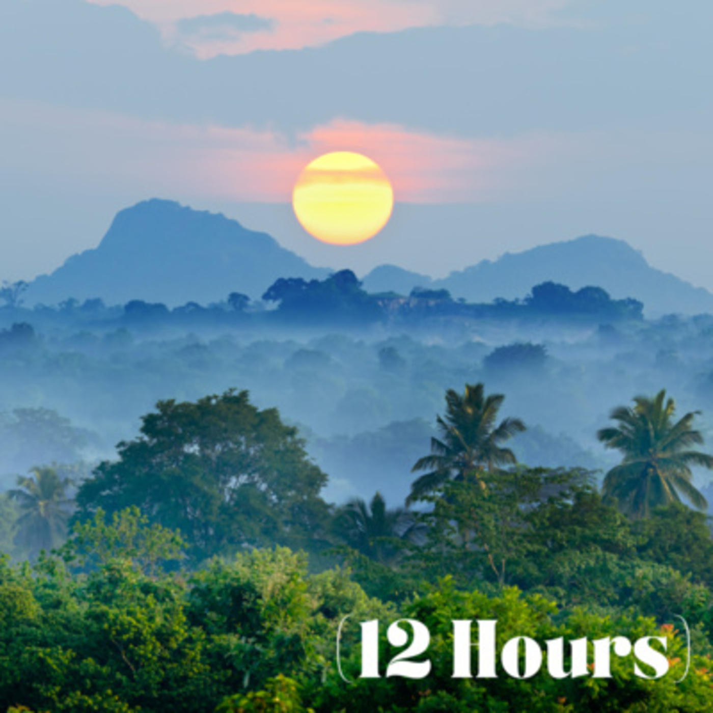 Gentle Jungle Ambiance | Sleep Sound (12 Hours)