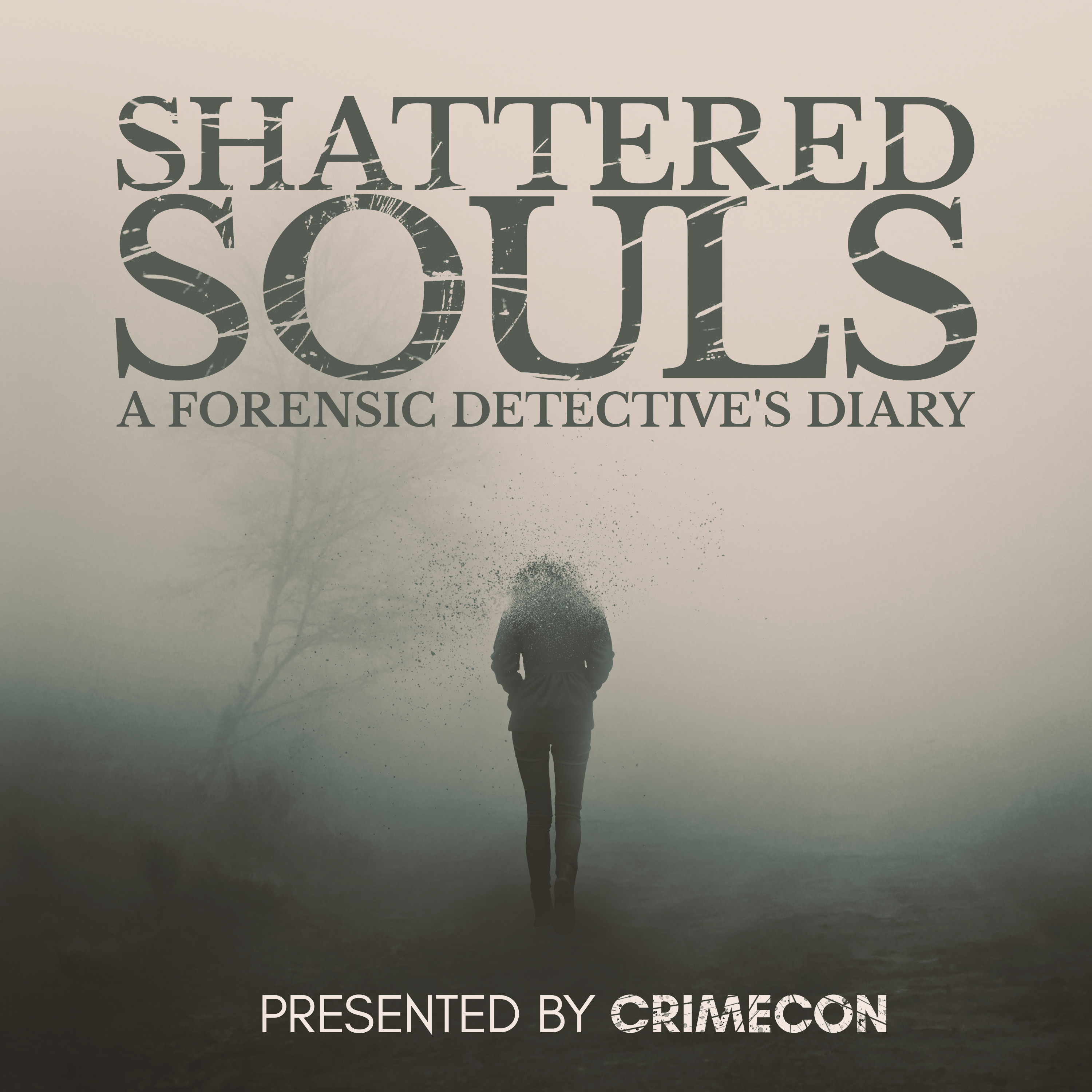 Shattered Souls: Anger