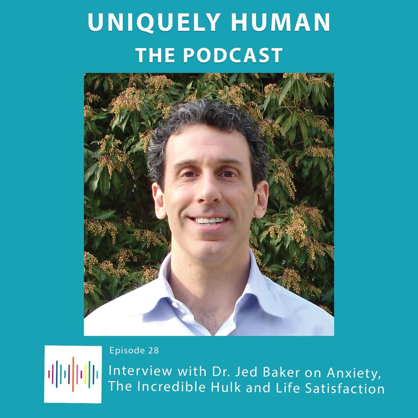 Interview with Dr. Jed Baker on Anxiety, The Incredible Hulk and Life Satisfaction - podcast episode cover