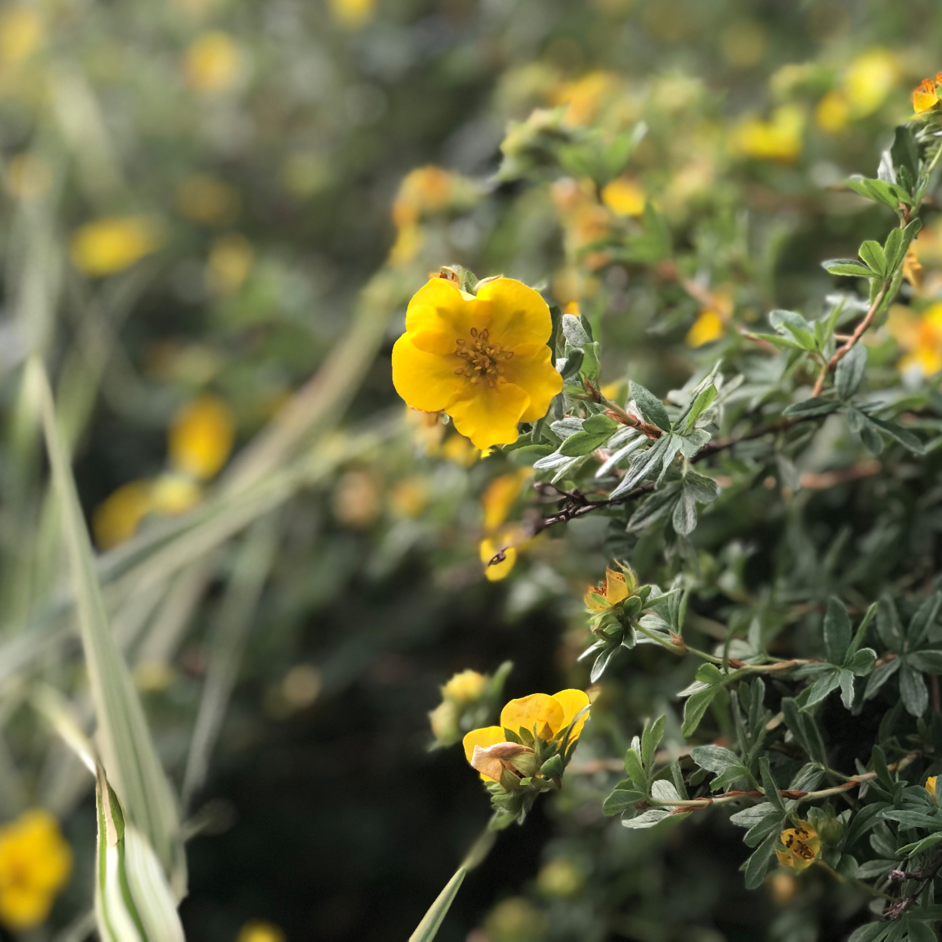 Whittling Down Your MarTech Stack