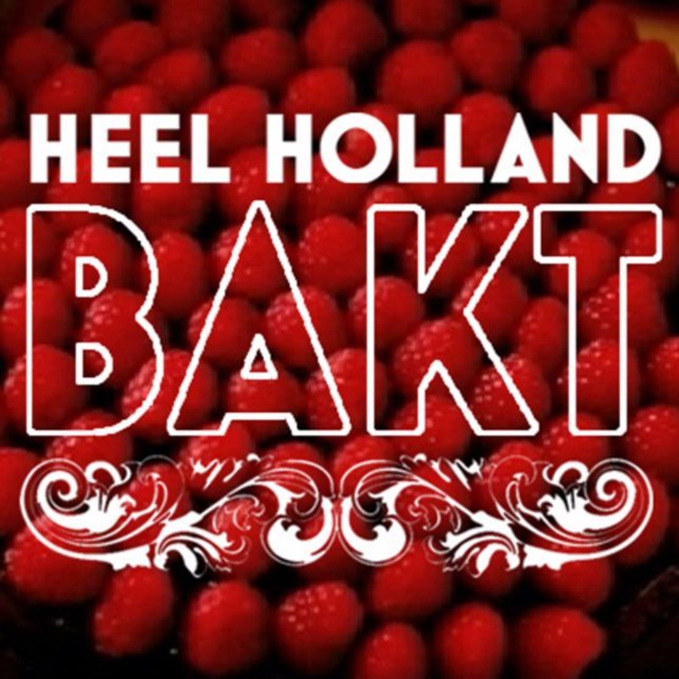 We <3 Heel Holland Bakt