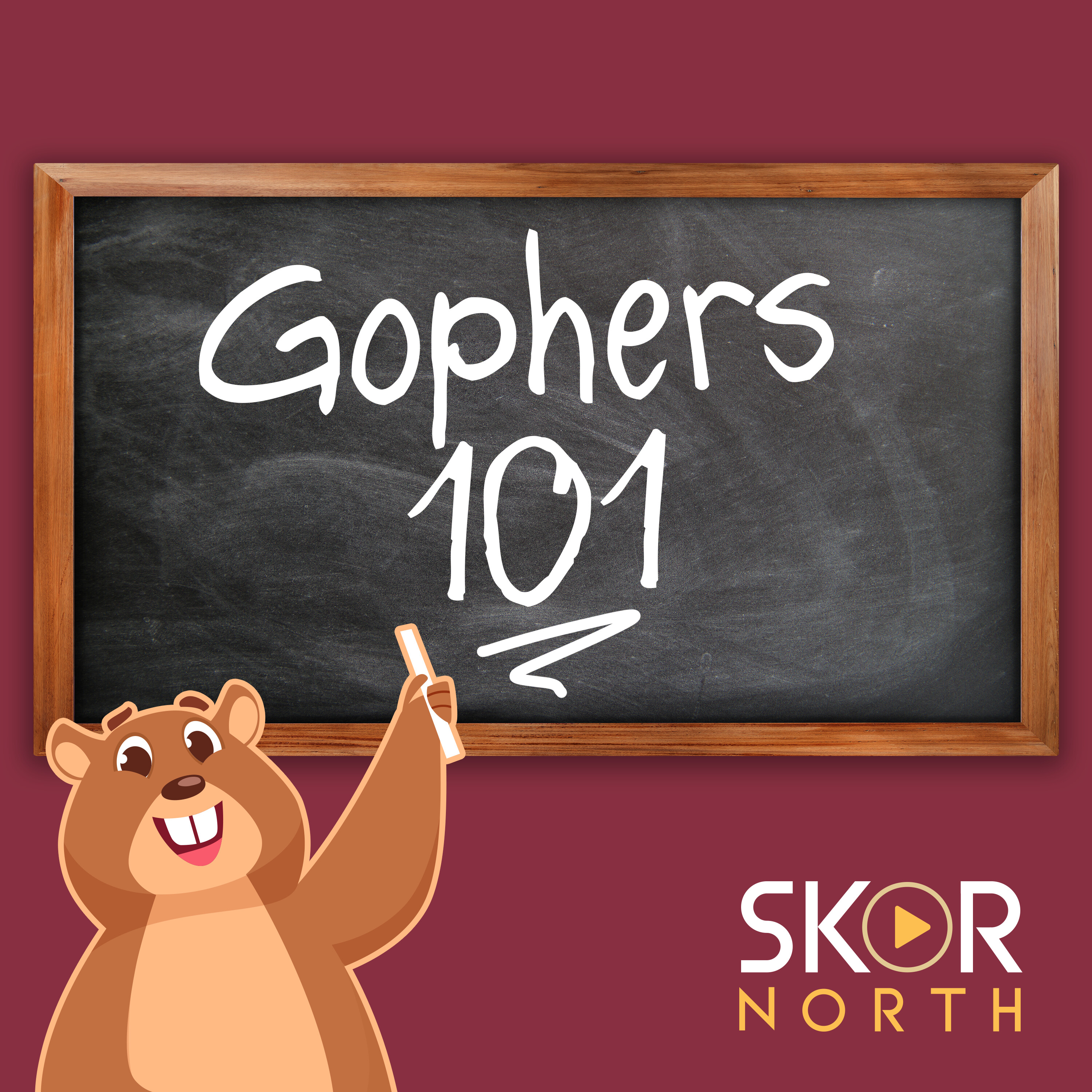 GOPHERS: Minnesota Golden Gophers pass first test; Drake Lindsey looks the part!