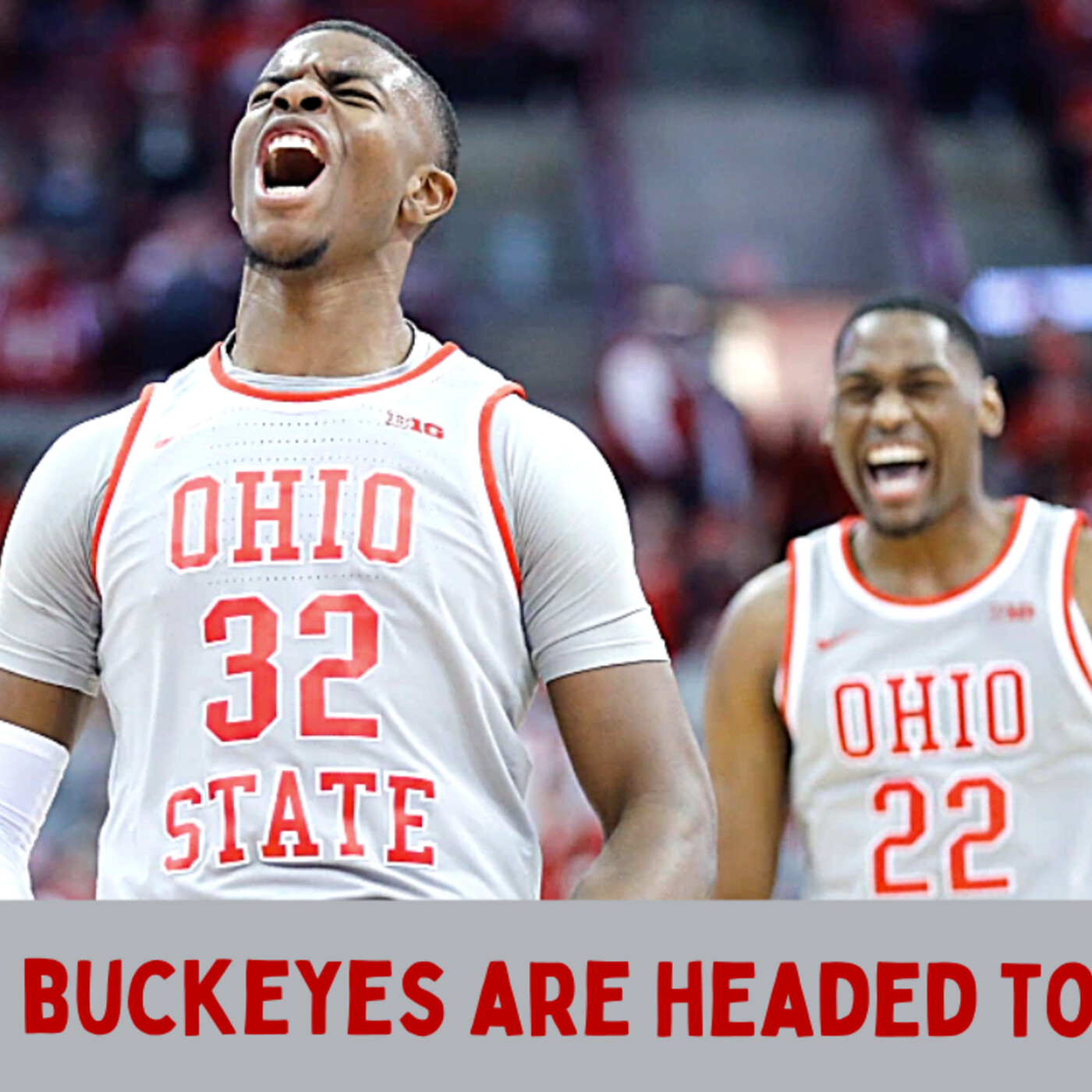 The Buckeyes Daily Blitz