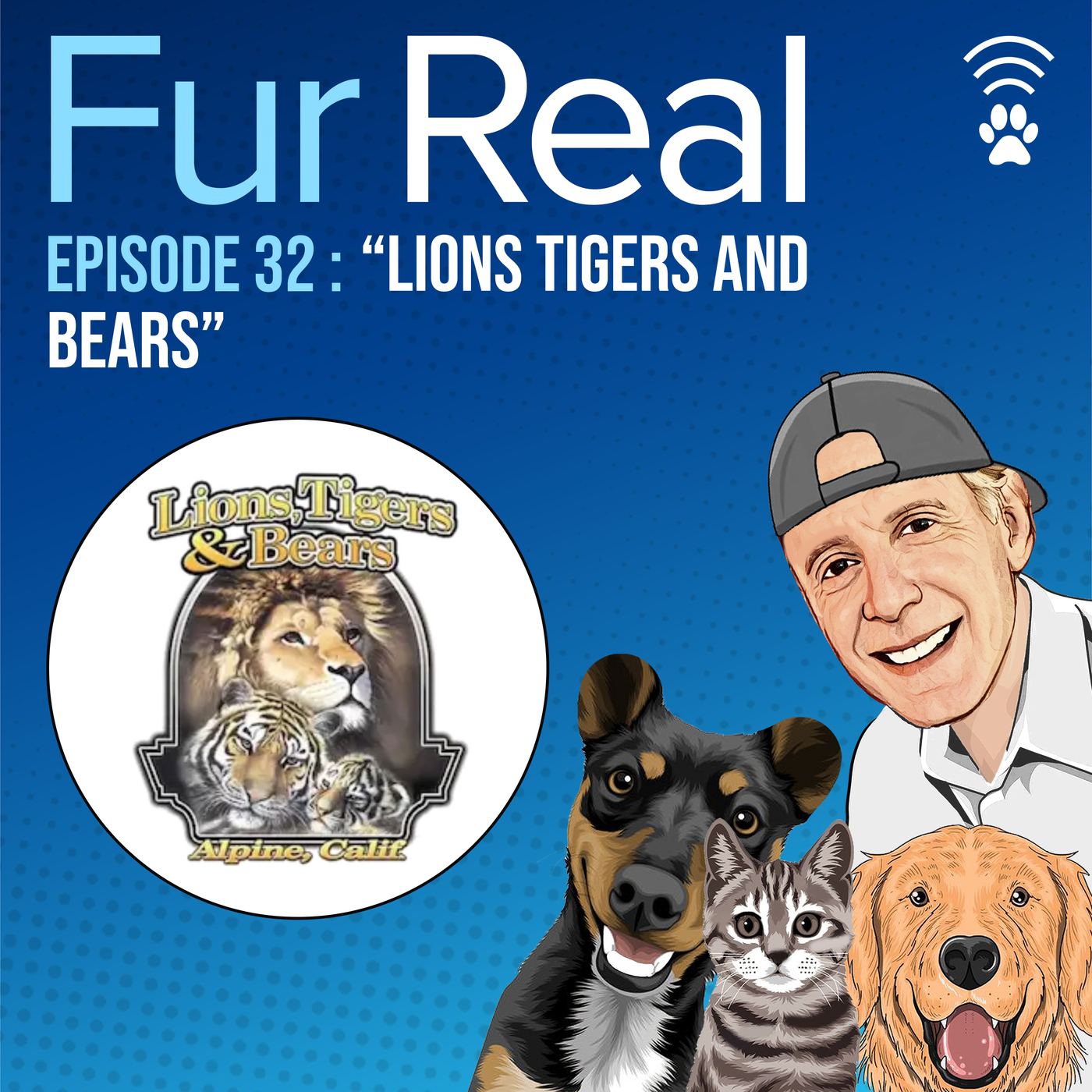 "LIONS TIGERS AND BEARS"