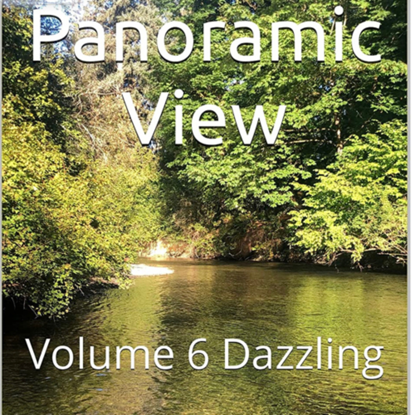 Panoramic View Volume 11 Dazzling by Daniel Lucas