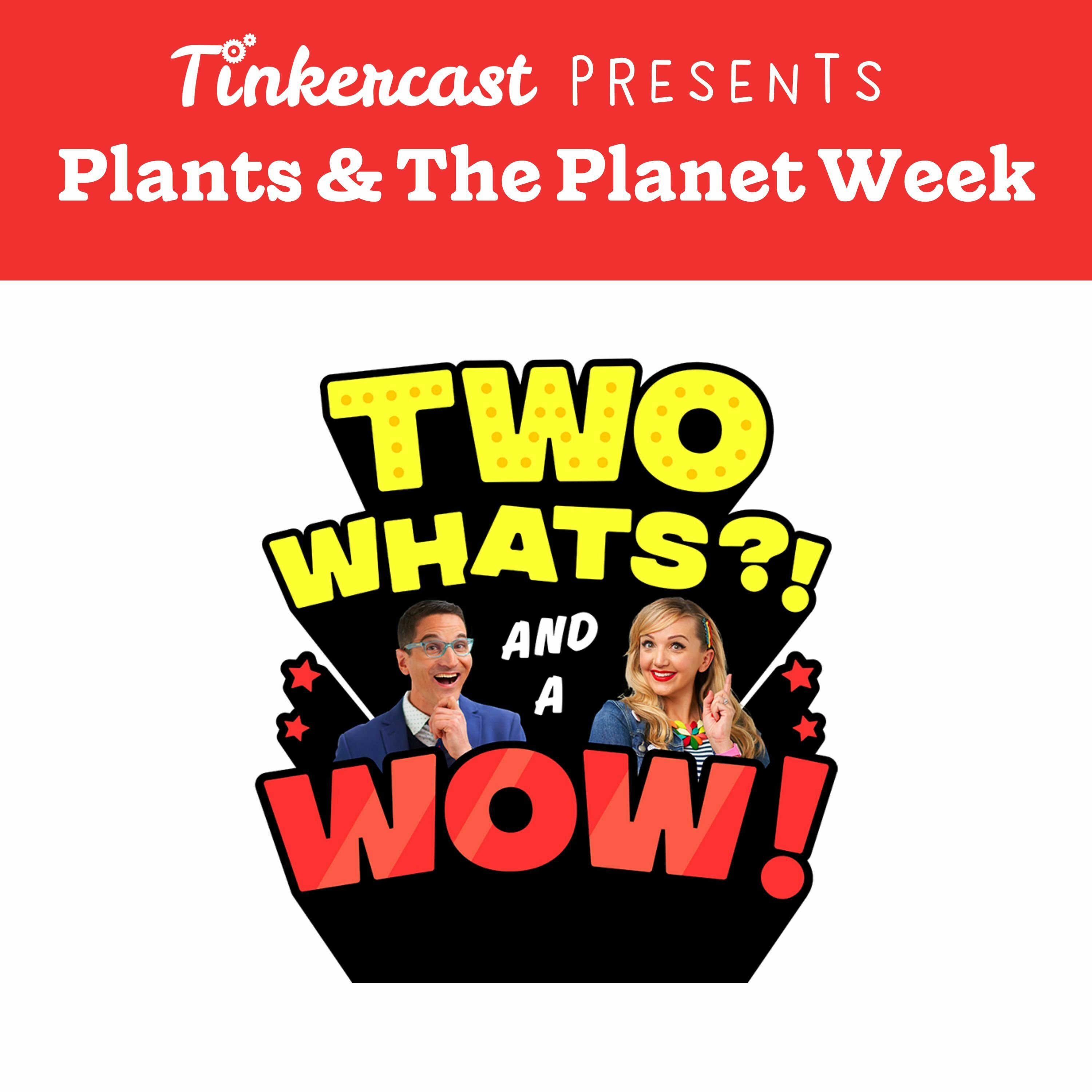 Two Whats?! And A Wow! – Are You Up For-Est?!