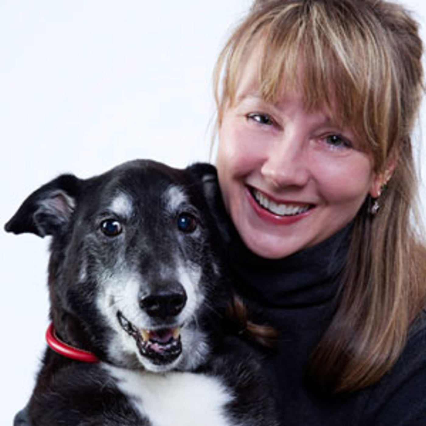 Episode 97: Please Don't Bite The Baby: A Chat With Author Lisa J. Edwards About Her Book episode artwork