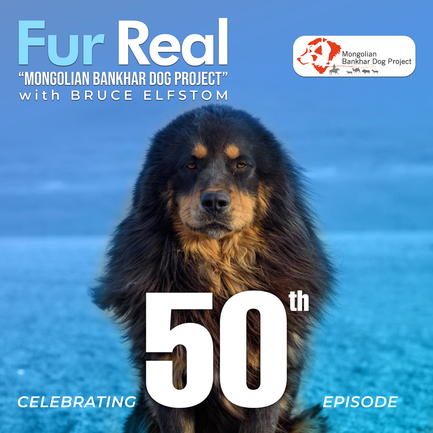 "MONGOLIAN BANKHAR DOG PROJECT" with Bruce Elfstrom