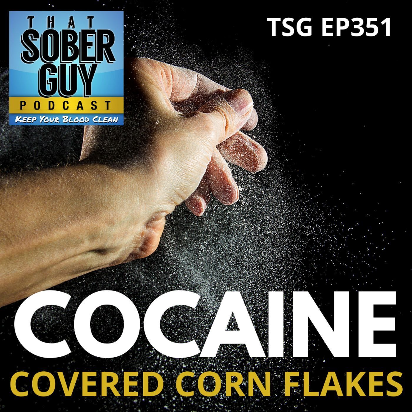 That Sober Guy Podcast